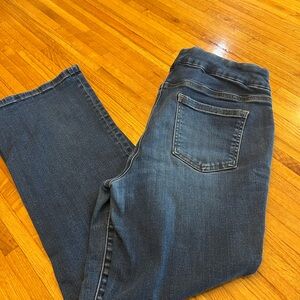 Classic Chico Pull Up  Blue Women's Jeans